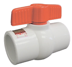 The American Granby HMIPSXS PVC 2-Port Molded-In-Place Ball Valve, 1"